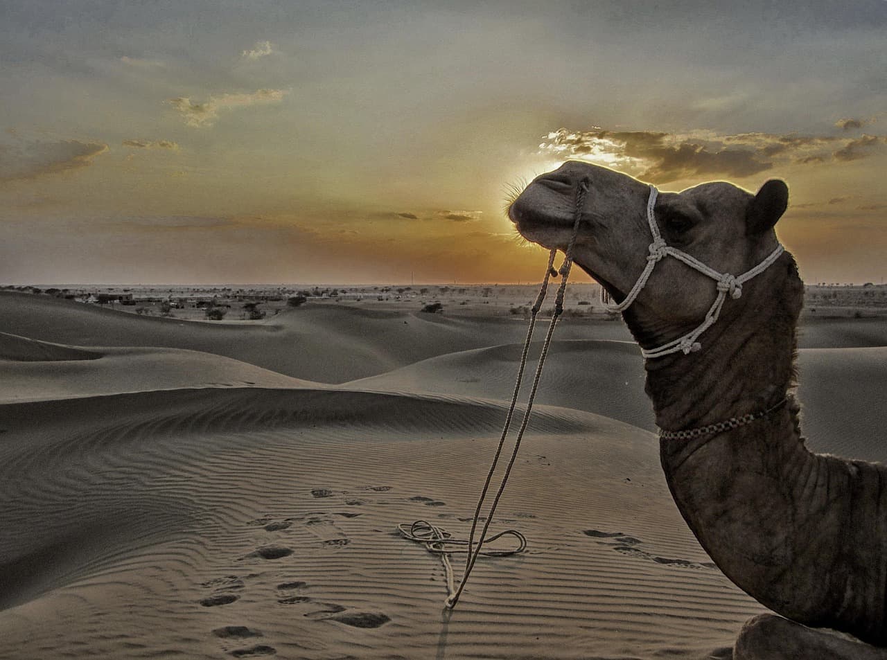 Jaisalmer, Rajasthan
